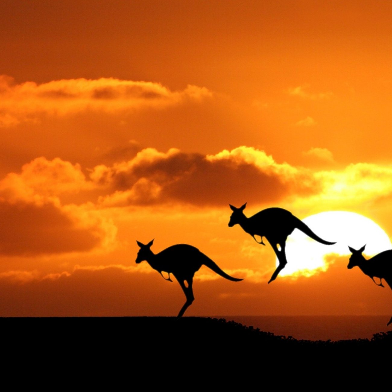 Austrália