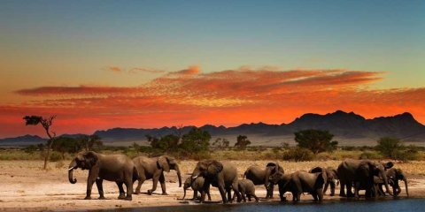 Lendas Africanas