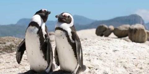 Lendas Africanas