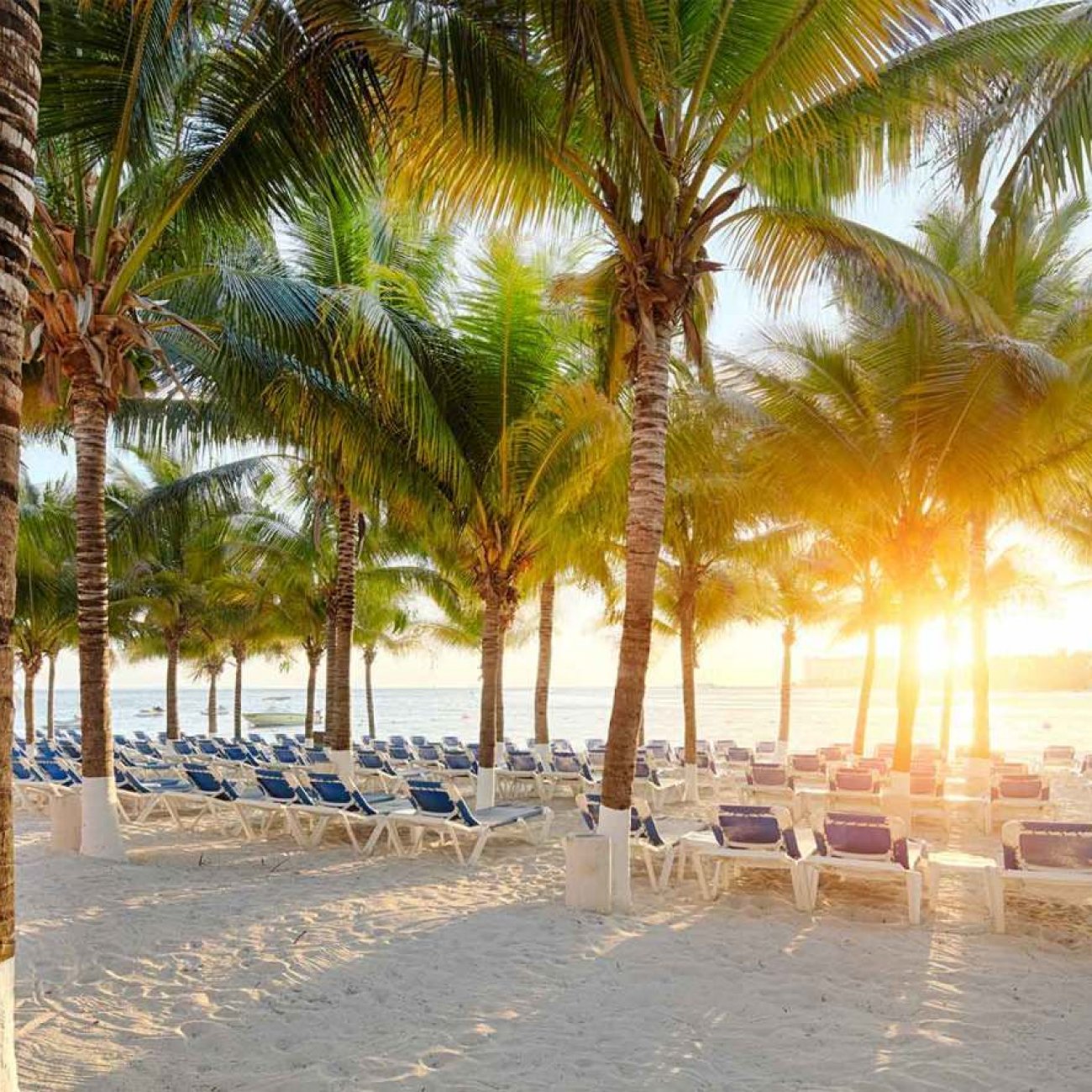 CANCÚN IMPERDÍVEL
