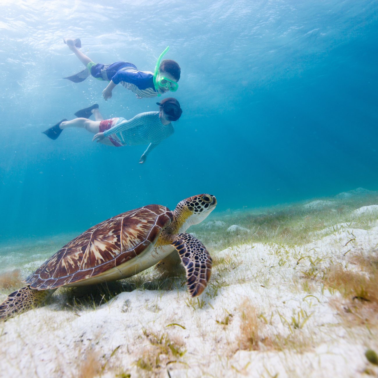 Bahamas