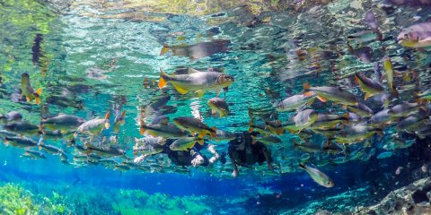 BONITO - MS | ZAGAIA ECO RESORT