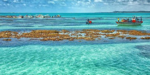 MACEIÓ - DESCANSE EM PRAIAS PARADISÍACAS