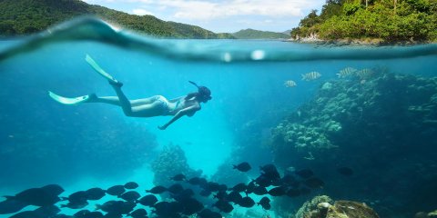 FÉRIAS EM FERNANDO DE NORONHA
