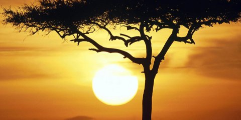 África do Sul