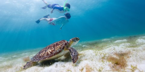Bahamas
