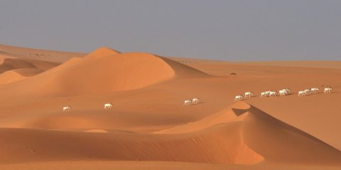 Emirados Árabes