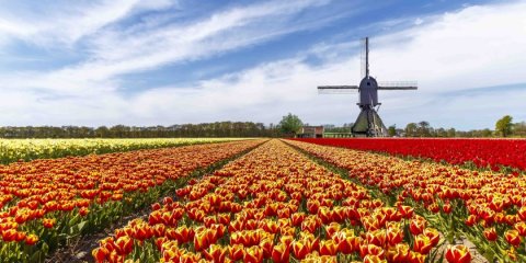 Holanda