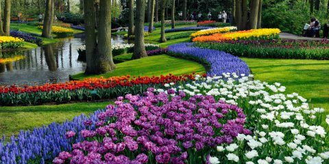 Holanda