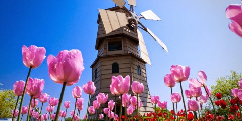 Holanda