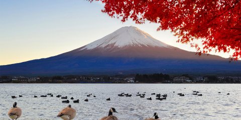 JAPÃO - A TERRA DO SOL NASCENTE