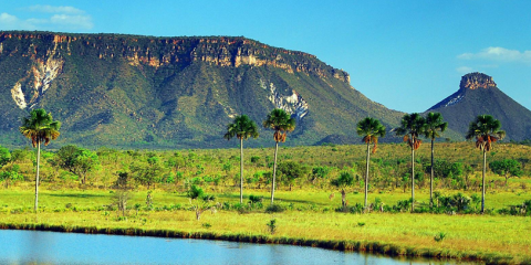 SAFARI CAMP NO JALAPÃO
