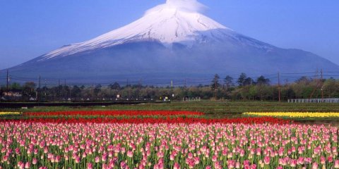 Japão