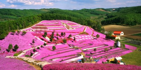 Japão