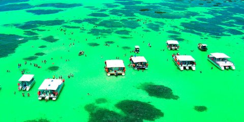Maragogi + Maceió