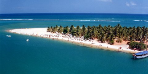 Maragogi + Maceió