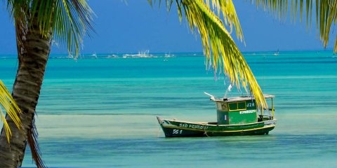 Maragogi + Maceió