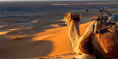 Marrocos