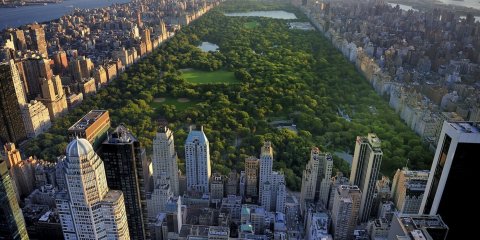 NEW YORK NOS ESPERA