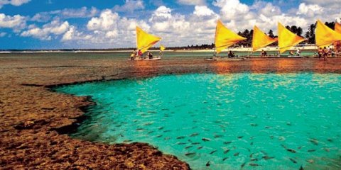 Porto de Galinhas - Enotel
